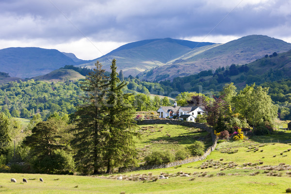 Tájkép Lake District Anglia ház fa Európa Stock fotó © phbcz