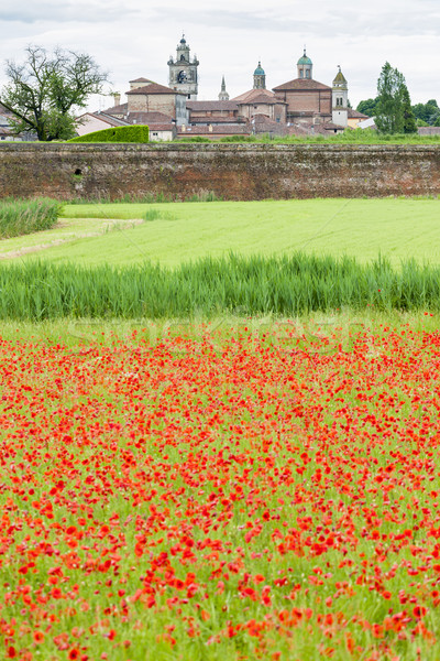 Stock foto: Italien · Blume · Gebäude · Wand · Architektur · Anlage