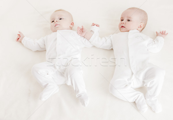 Négy hónapok öreg babák lány gyermek Stock fotó © phbcz