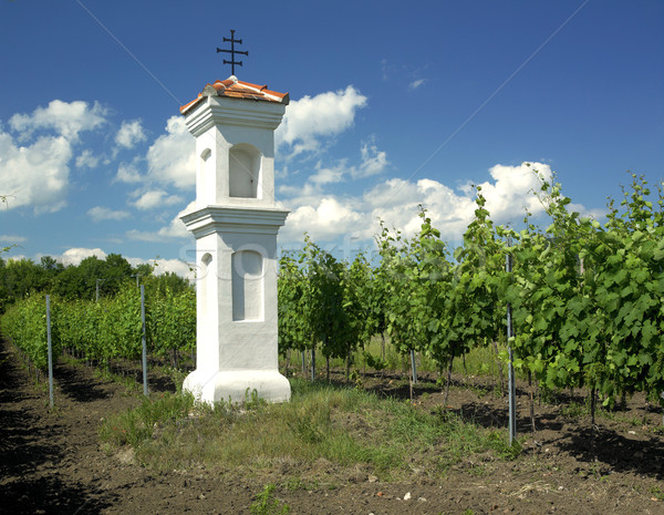 Foto stock: Aldeia · capela · República · Checa · vinho · paisagem · vinha