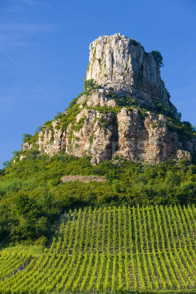 La krajobraz podróży rock winorośli winnicy Zdjęcia stock © phbcz