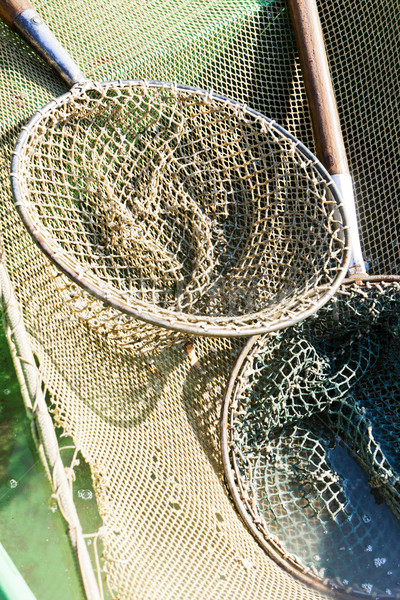 landing nets Stock photo © phbcz