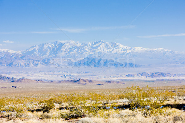 Stock photo: Death Valley National Park, California, USA