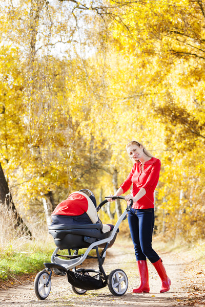 Kobieta wózki dla dzieci chodzić jesienny aleja rodziny Zdjęcia stock © phbcz