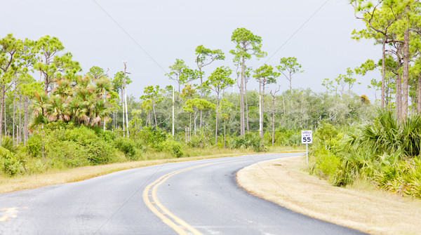 road in Everglades National Park, Florida, USA Stock photo © phbcz