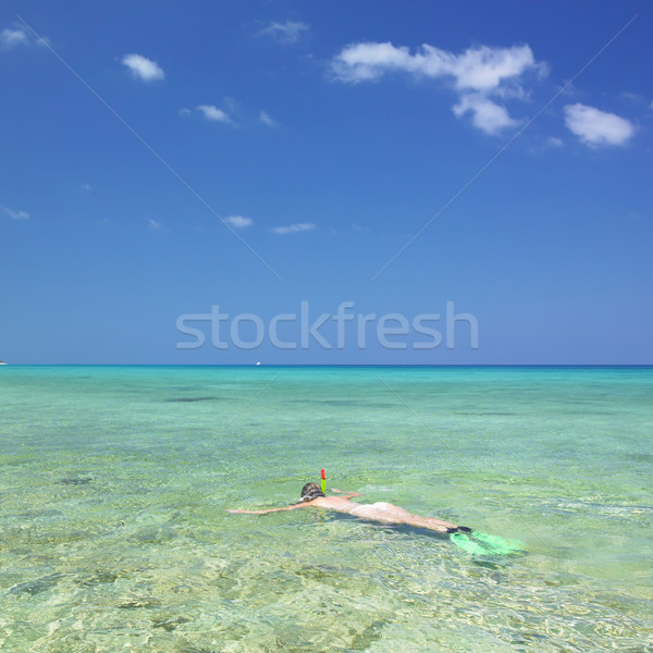 snorkeling, Maria la Gorda, Pinar del Rio Province, Cuba Stock photo © phbcz