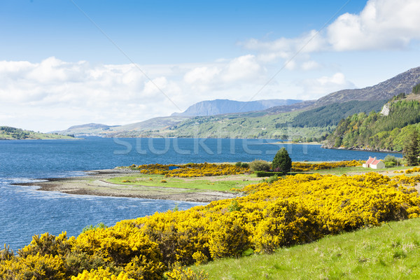 Loch Broom, Highlands, Scotland Stock photo © phbcz