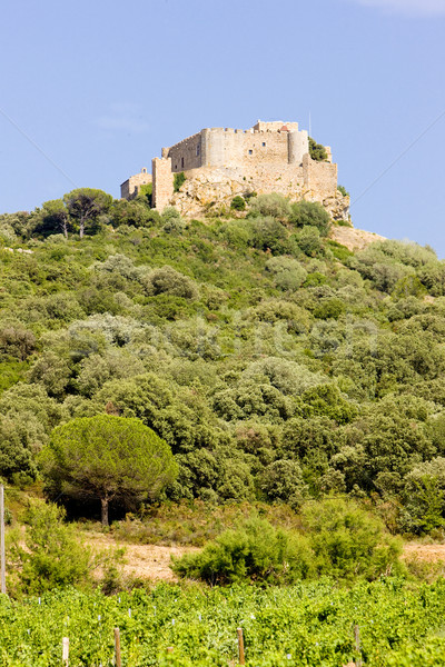 Stock photo: Chateau-Saint-Martin with vineyard, Languedoc-Roussillon, France