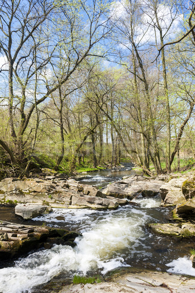 spring landscape with Vyrovka brook, Czech Republic Stock photo © phbcz