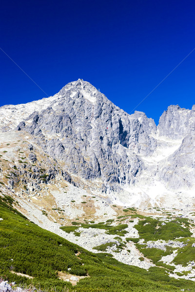 Spitze groß Landschaft Europa Schweigen natürlichen Stock foto © phbcz