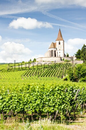 wayside near Hnanice with vineyard, Southern Moravia, Czech Repu Stock photo © phbcz