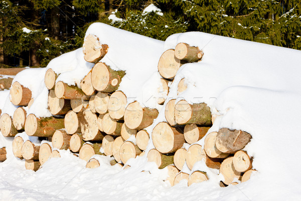 snow covered logs Stock photo © phbcz