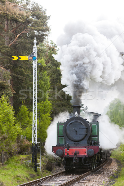 steam train, Strathspey Railway, Highlands, Scotland Stock photo © phbcz