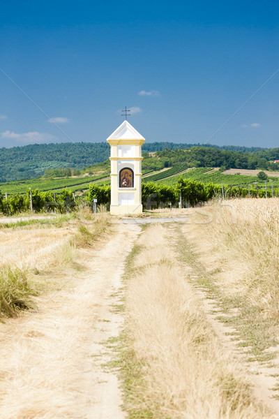 God's torture with vineyard near Retz, Lower Austria, Austria Stock photo © phbcz