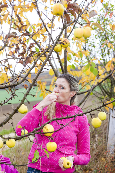 woman with autumnal apple tree eating an apple Stock photo © phbcz