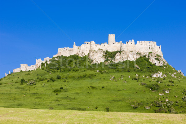 Spissky Castle, Slovakia Stock photo © phbcz