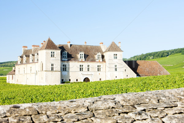 Clos Blanc De Vougeot Castle, Burgundy, France Stock photo © phbcz