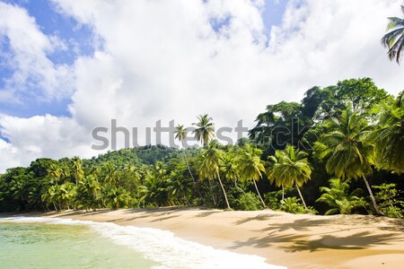 Englishman's Bay, Tobago Stock photo © phbcz
