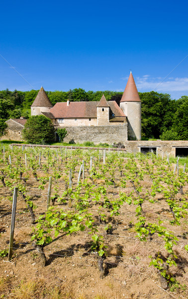 Chateau de Nobles, Burgundy, France Stock photo © phbcz