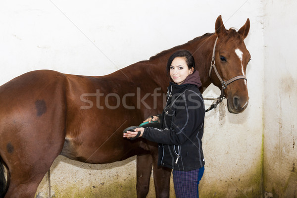 equestrian combing the horse Stock photo © phbcz