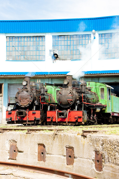 steam locomotives in depot, Kostolac, Serbia Stock photo © phbcz