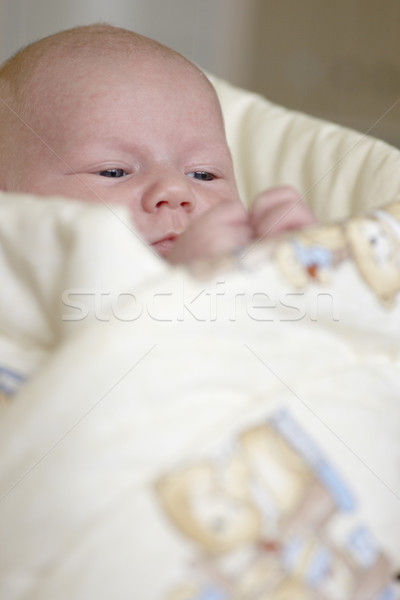 Uno mes edad bebé manos ninos Foto stock © phbcz