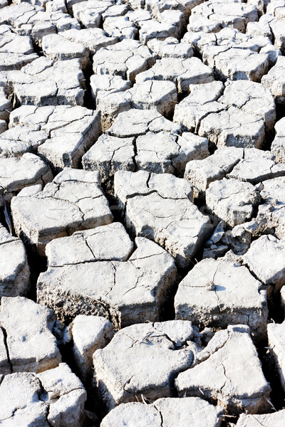 dry soil, Parc Regional de Camargue, Provence, France Stock photo © phbcz