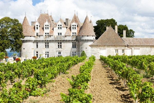 Monbazillac Castle with vineyard, Aquitaine, France Stock photo © phbcz