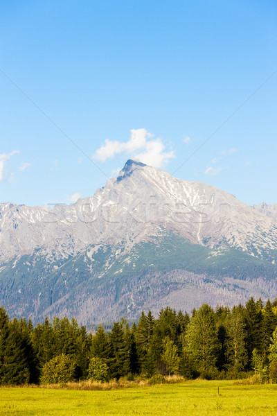 Krivan Mountain, Vysoke Tatry (High Tatras), Slovakia Stock photo © phbcz