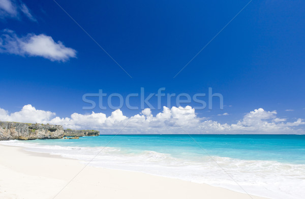 Unterseite Barbados Karibik Landschaft Meer Sommer Stock foto © phbcz