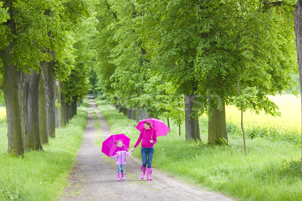 Mère fille parapluies printemps allée femme Photo stock © phbcz