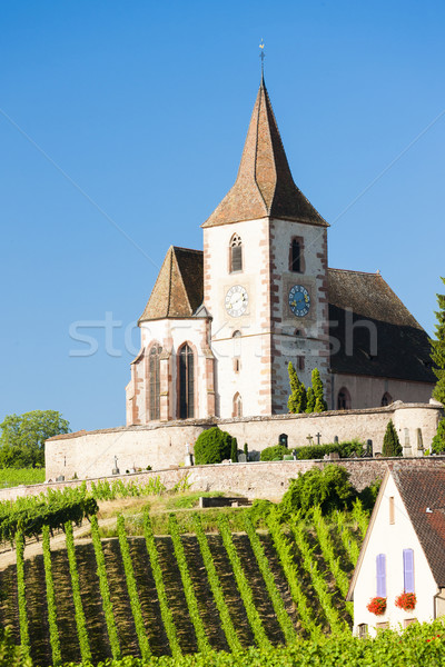 church with vineyard, Hunawihr, Alsace, France Stock photo © phbcz