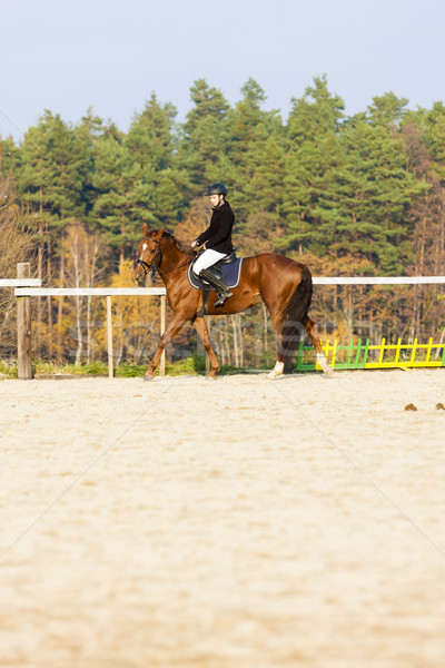 верхом женщины лошади работает расслабиться Сток-фото © phbcz