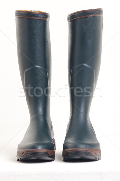Grünen Gummistiefel Schuhe Stil Schutz Stiefel Stock foto © phbcz