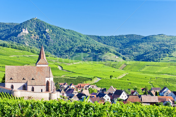 Hunawihr, Alsace, France Stock photo © phbcz