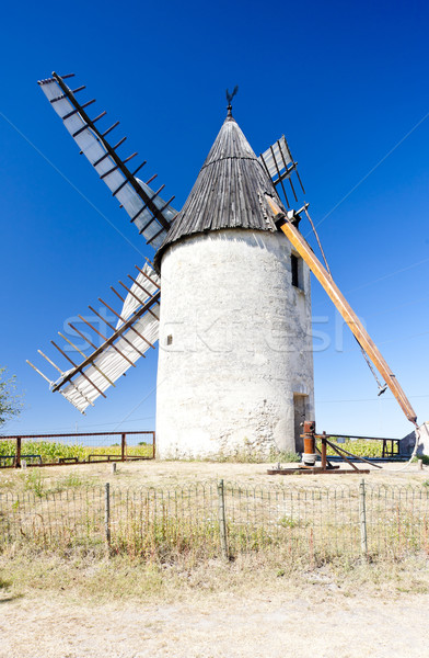 windmill, Vensac, Aquitaine, France Stock photo © phbcz