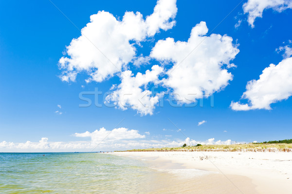 beach on Hel Peninsula, Pomerania, Poland Stock photo © phbcz
