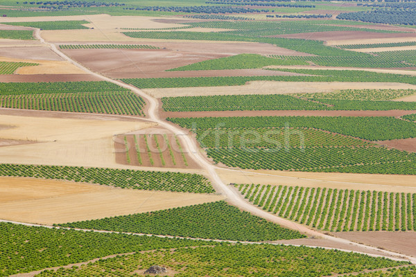 landscape near Consuegra, Toledo Province, Castile-La Mancha, Sp Stock photo © phbcz