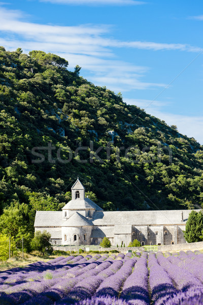 Senanque abbey with lavender field, Provence, France Stock photo © phbcz