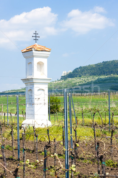 God''s torture with vineyard, Palava, Czech Republic Stock photo © phbcz