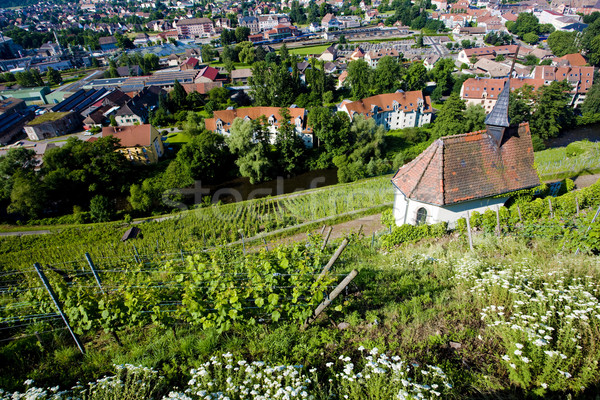 grand cru vineyard and Chapel of St. Urban, Thann, Alsace, Franc Stock photo © phbcz