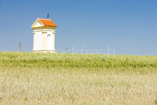 Foto stock: Tortura · grano · meridional · República · Checa