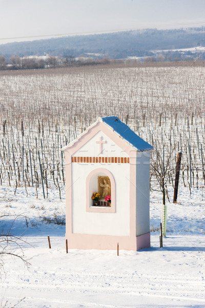 God's torture near Hnanice with winter vineyard, Southern Morav Stock photo © phbcz