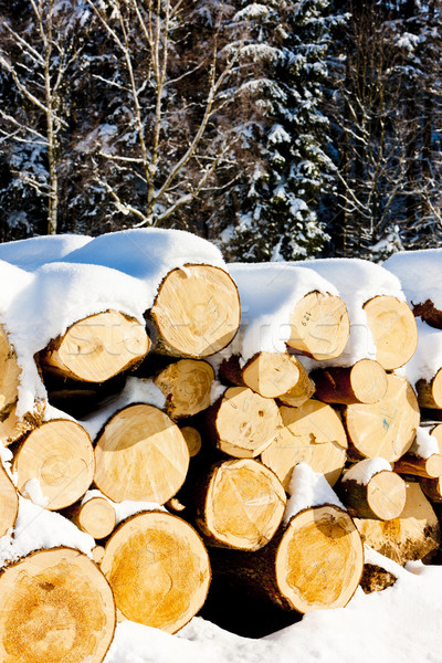 snow covered logs Stock photo © phbcz