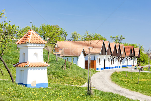 Wijn Tsjechische Republiek architectuur kolom buitenshuis Stockfoto © phbcz