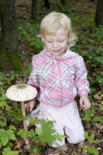 mushroom picking little girl in forest Stock photo © phbcz