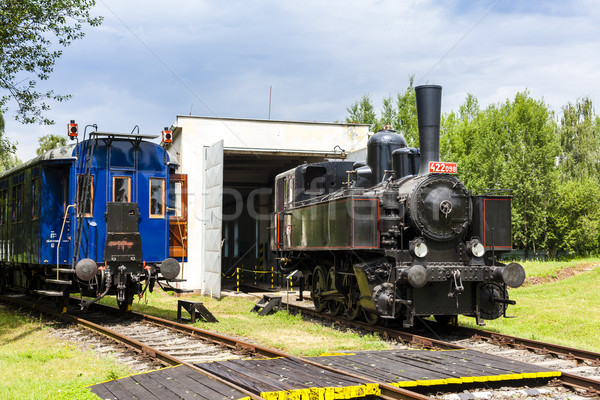 steam locomotive in depot, Czech Republic Stock photo © phbcz