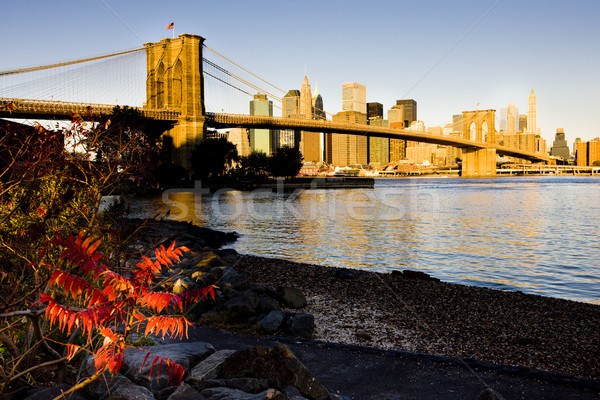 Manhattan with Brooklyn Bridge, New York City, USA Stock photo © phbcz