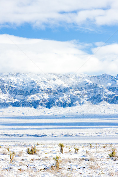 Góry Las Vegas Nevada USA krajobraz śniegu Zdjęcia stock © phbcz