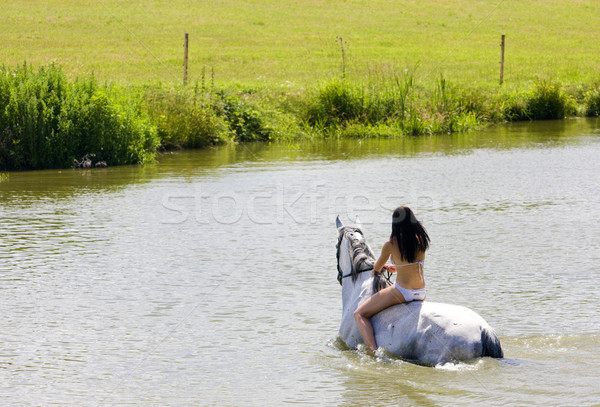 Paardrijden water vrouw paard bikini Stockfoto © phbcz
